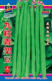 九粒青架豆