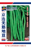 京选无筋地豆
