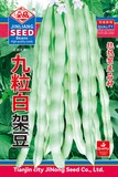 九粒白架豆