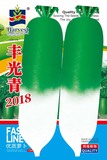 丰光青2018萝卜