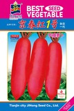 京春红1号