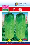 首领