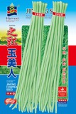 之豇玉美人