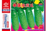 串莲地黄瓜