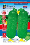 串玲地叶三(2个瓜)