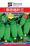 串玲地叶三(竖版阿维斯特)