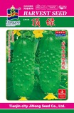 顶绿kt