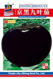 京黑九叶茄