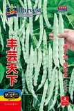 丰芸天下kt