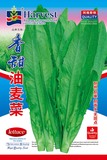 香甜油麦菜
