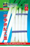 中华世纪大葱