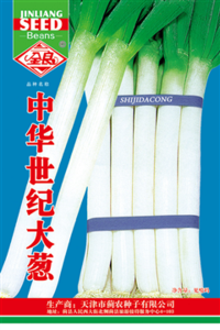 中华世纪大葱