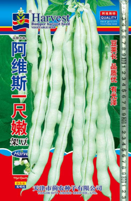 阿维斯一尺嫩