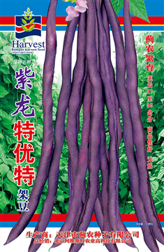 紫龙特优特架豆
