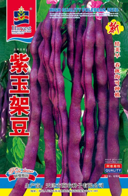 紫玉架豆