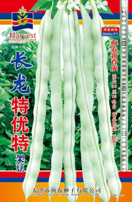 长龙特优特架豆