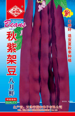 秋紫架豆八月鲜