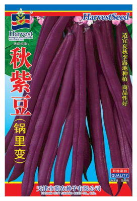 秋紫豆