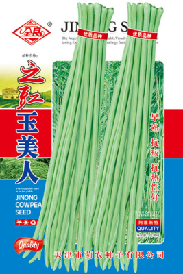 之豇玉美人