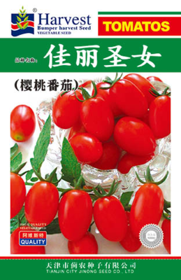 佳丽圣女