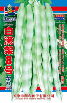 白满架8号架豆