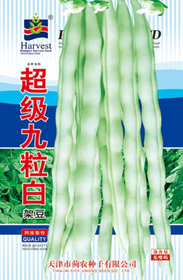 超级九粒白架豆