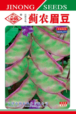 蓟农眉豆(紫边)