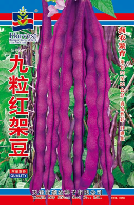 九粒红架豆
